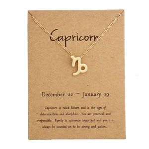 Capricorn Zodiac Necklace